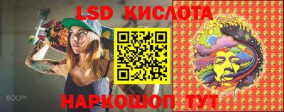 бошки Кимры