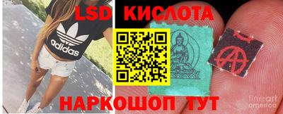 мдма Кингисепп