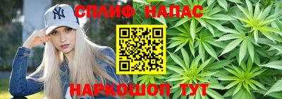 бошки Кимры