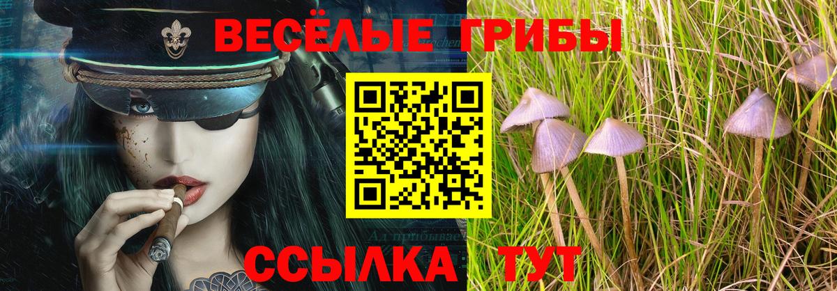 Шахты  Галлюциногенные грибы мицелий  Вход с VPN 