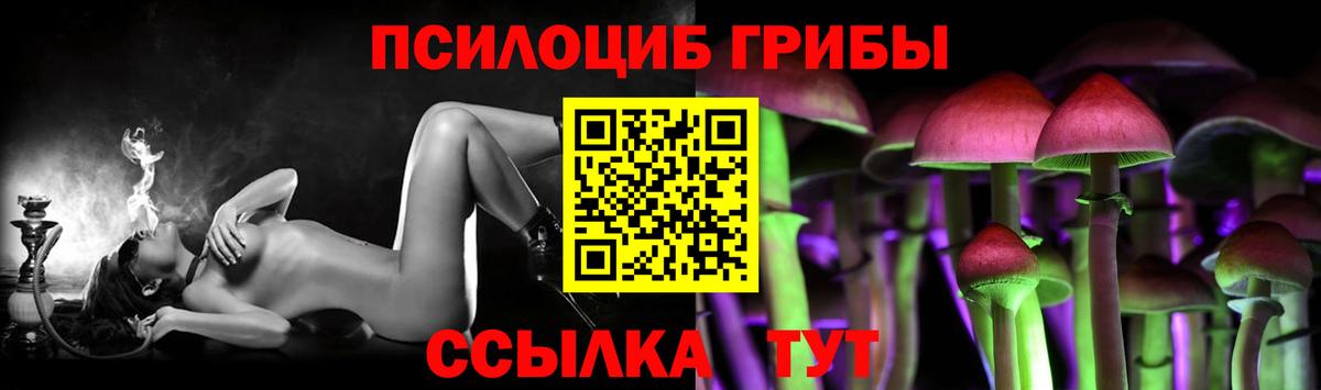 Псилоцибиновые грибы мицелий Шахты